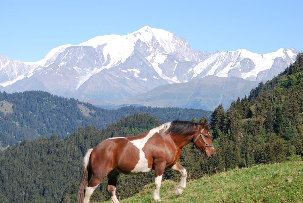 Chalet Mon Idole Flumet Luaran gambar